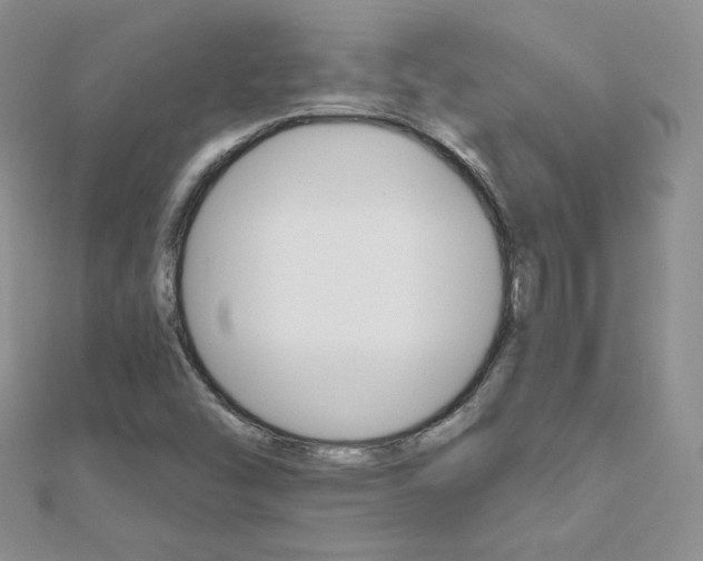X0000112481454200908171002
