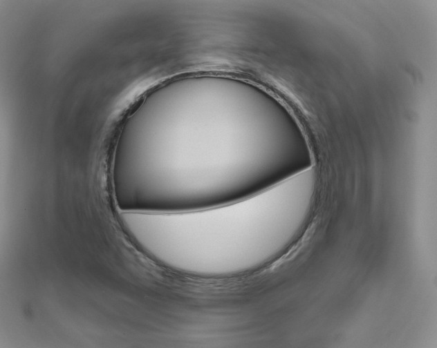 X0000112481455200908171002