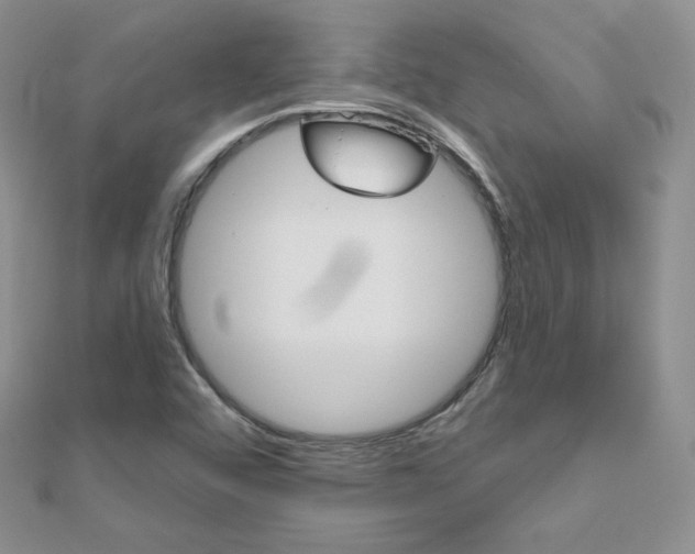 X0000112481456200908171002