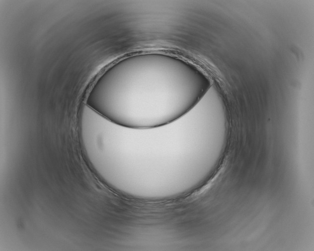 X0000112481457200908171002