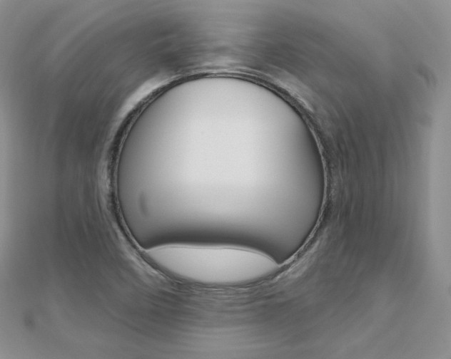 X0000112481458200908171002