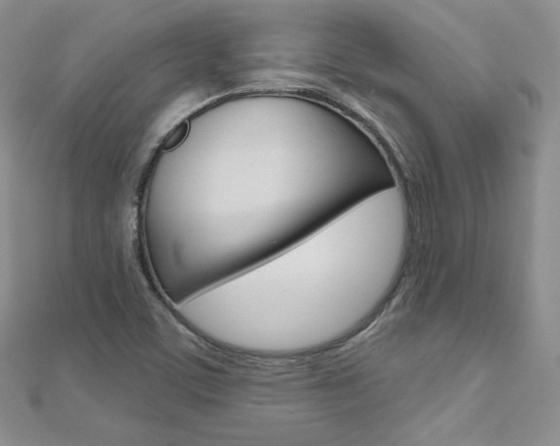 X0000112481459200908171002