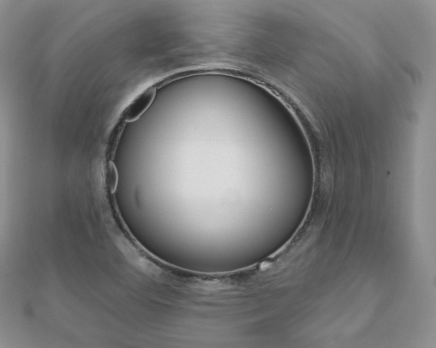 X0000112481460200908171001