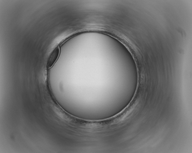 X0000112481461200908171001