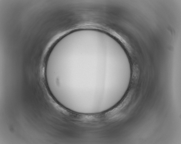 X0000112481462200908171001