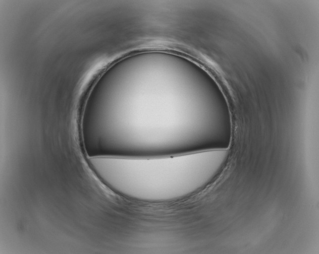 X0000112481464200908171001