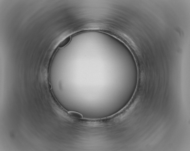 X0000112481465200908171001