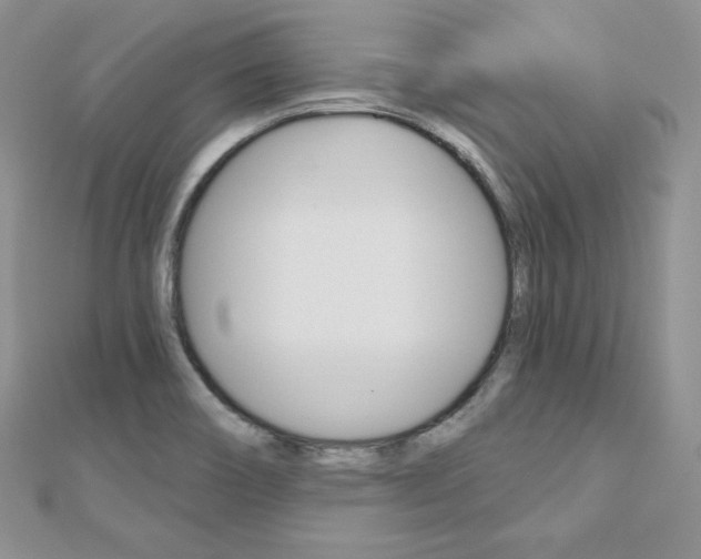 X0000112481466200908171001