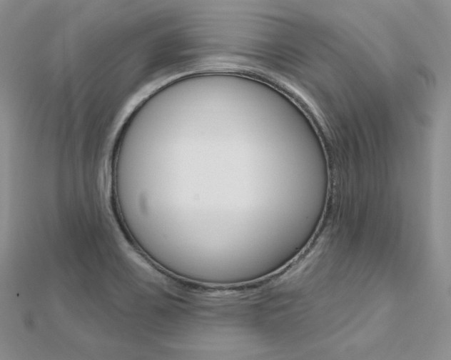 X0000112481467200908171001