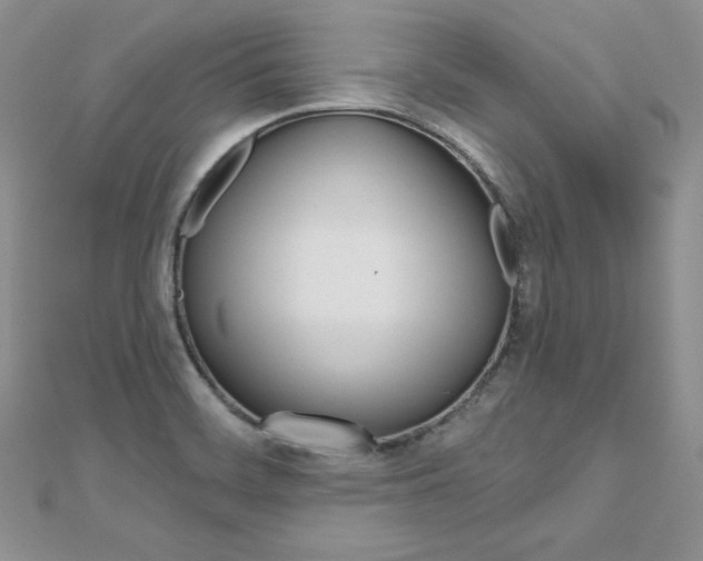 X0000112481468200908171001