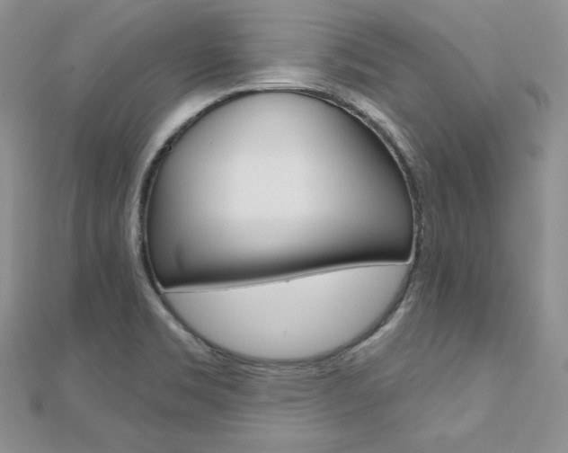 X0000112481469200908171001