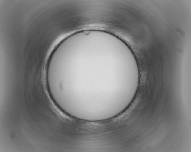 X0000112481470200908171001