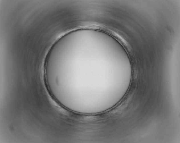 X0000112481471200908171001