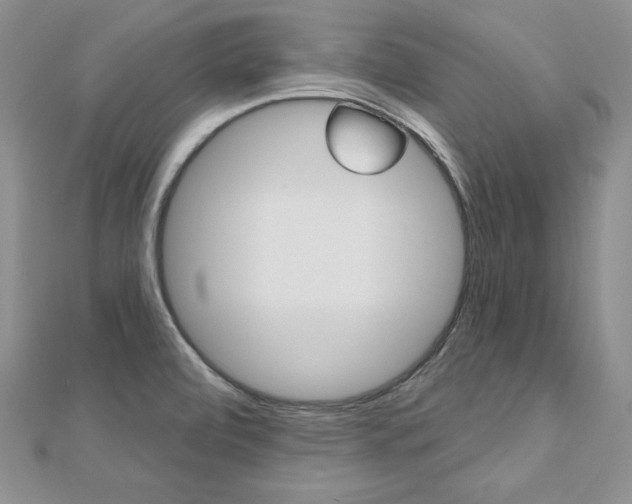 X0000112481472200908171001
