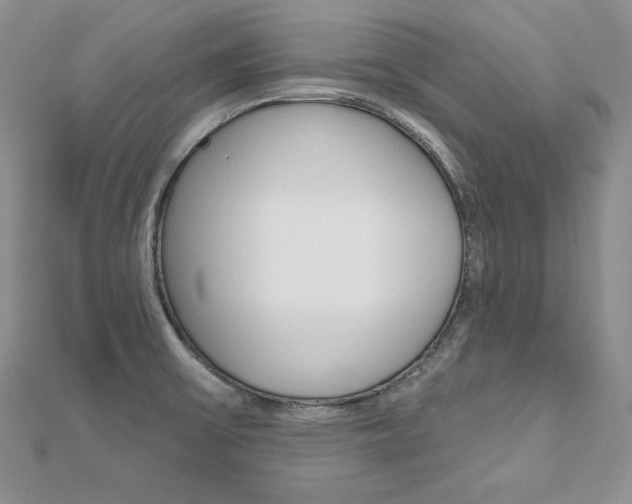 X0000112481475200908171001