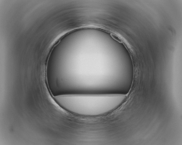 X0000112481476200908171001
