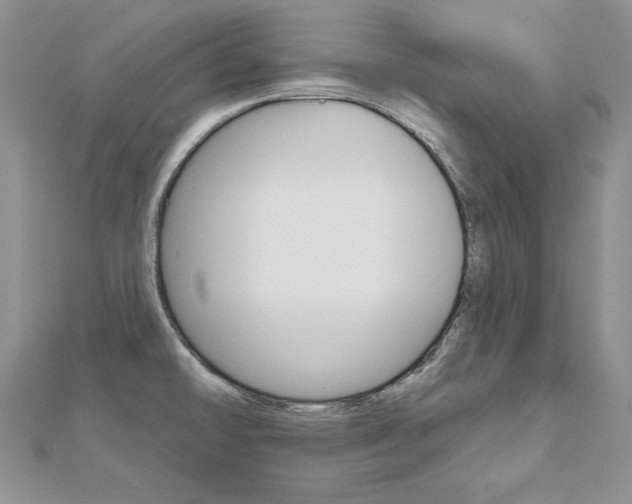 X0000112481478200908171001