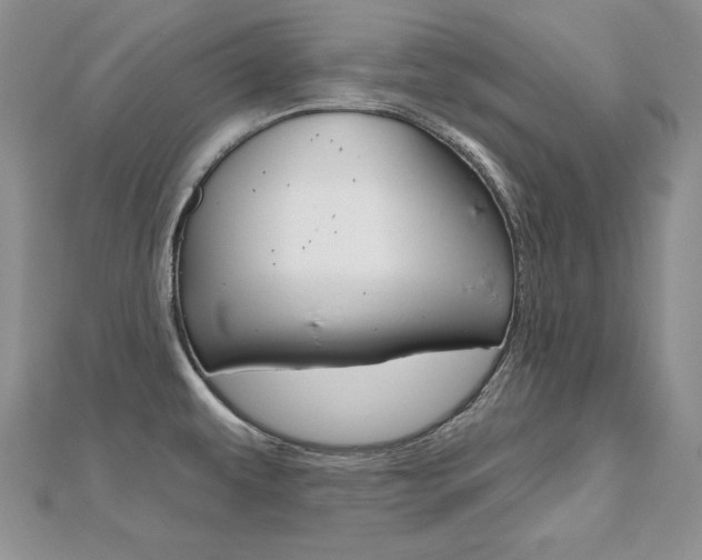 X0000112481479200908171001