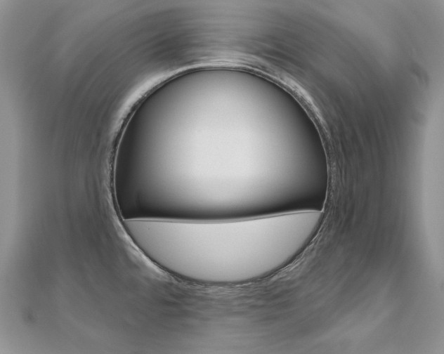 X0000112481480200908171001