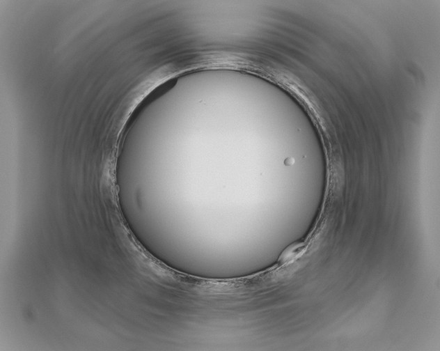 X0000112481481200908171001