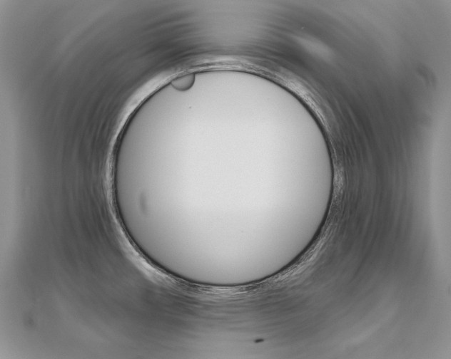 X0000112481482200908171001