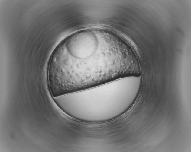 X0000112481483200908171001