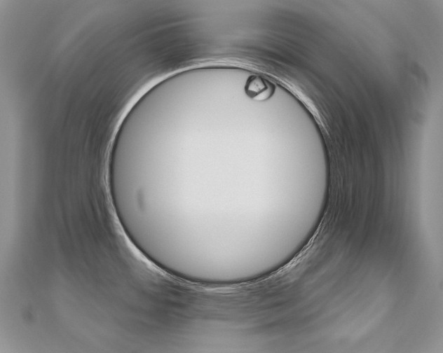 X0000112481484200908171001