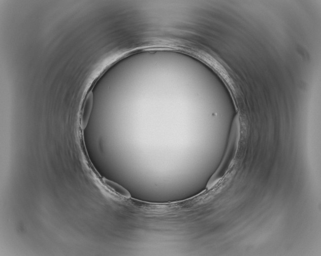 X0000112481485200908171001
