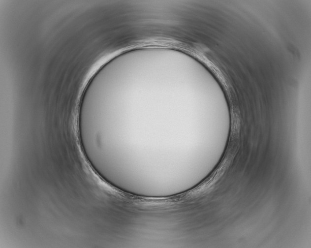 X0000112481486200908171001