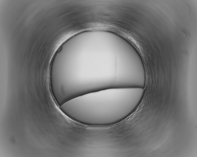 X0000112481487200908171001
