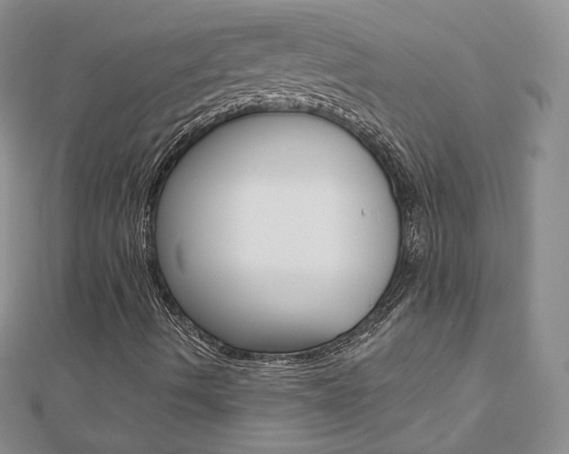 X0000112481490200908171001