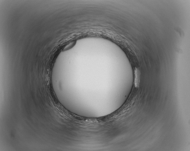 X0000112481491200908171001