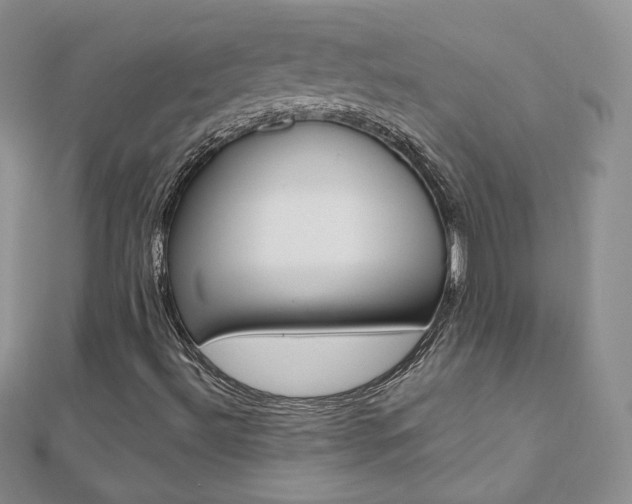 X0000112481492200908171001