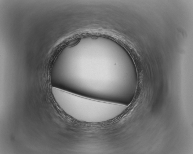 X0000112481494200908171001