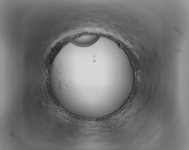 X0000112481495200908171001