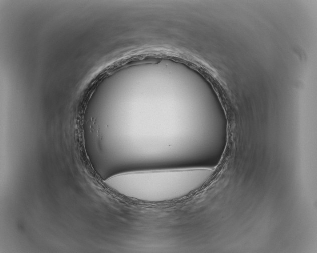 X0000112481496200908171001