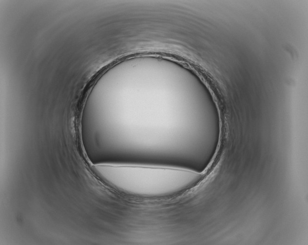 X0000112481497200908171001