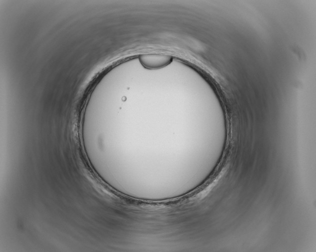 X0000112481498200908171001