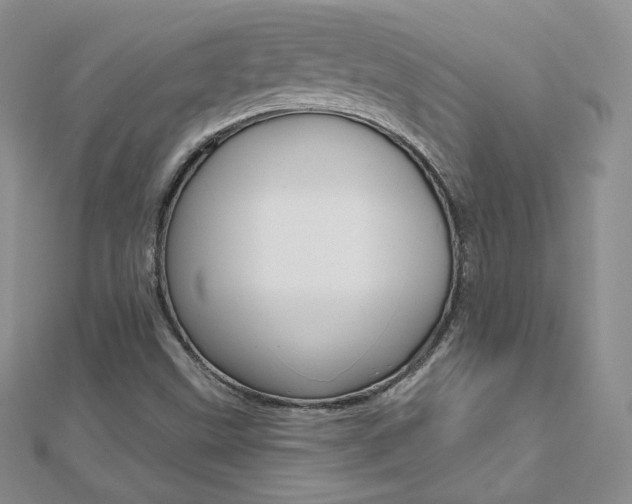 X0000112481499200908171001