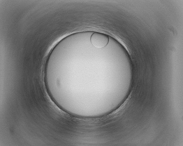 X0000112481500200908171001