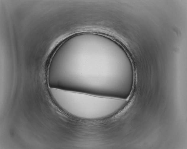 X0000112481501200908171001