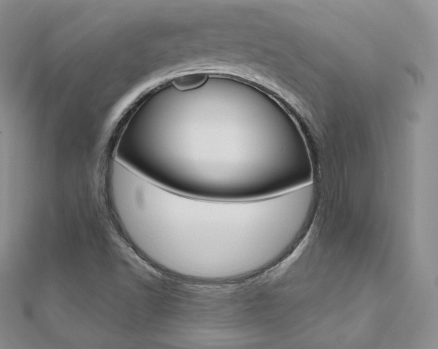 X0000112481502200908171001