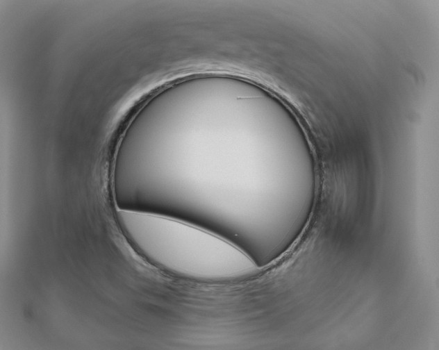 X0000112481503200908171001
