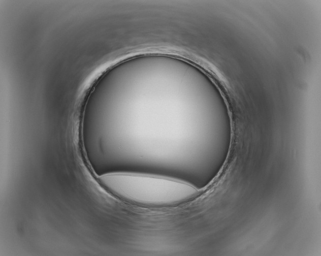 X0000112481504200908171001