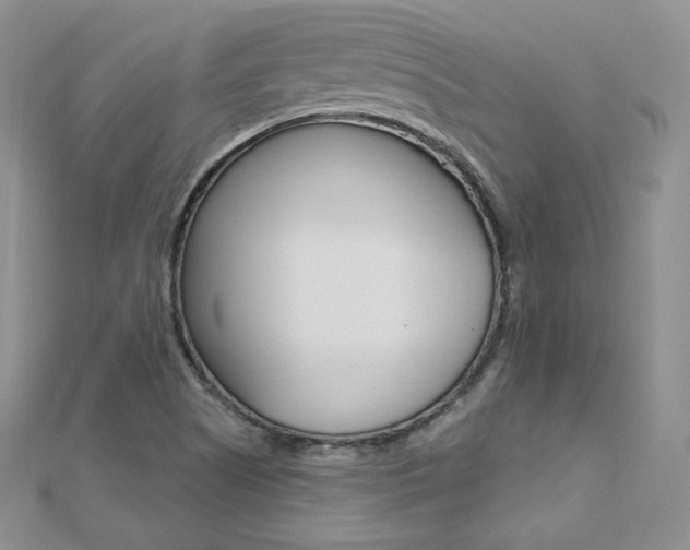 X0000112481505200908171001