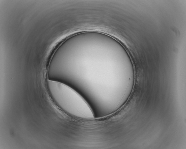 X0000112481507200908171001