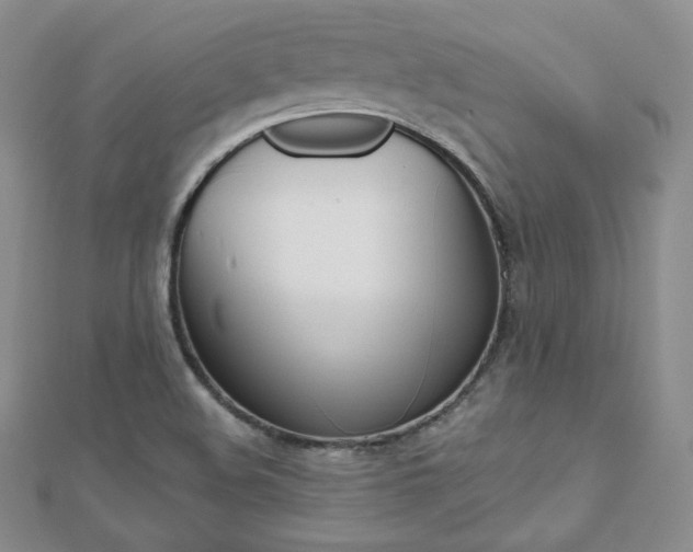 X0000112481508200908171001