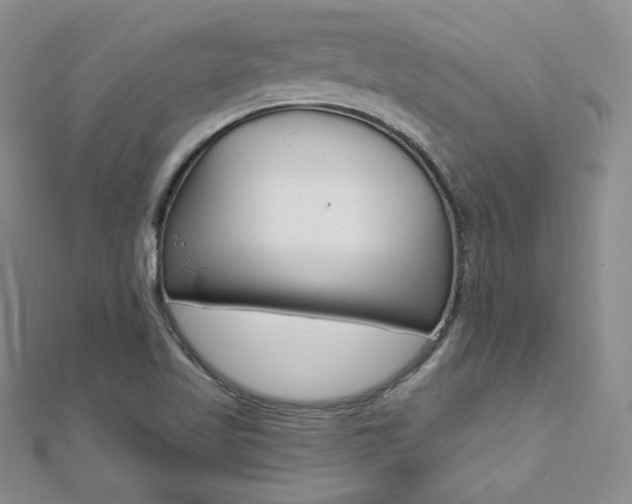 X0000112481509200908171001