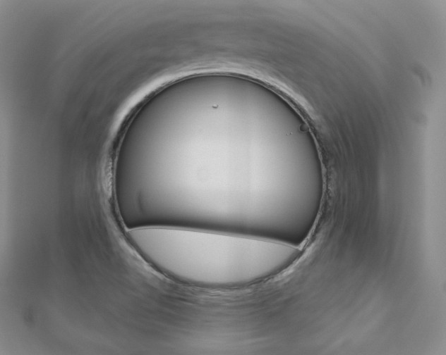 X0000112481510200908171001