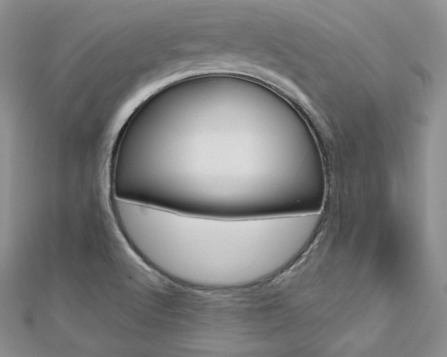 X0000112481512200908171001